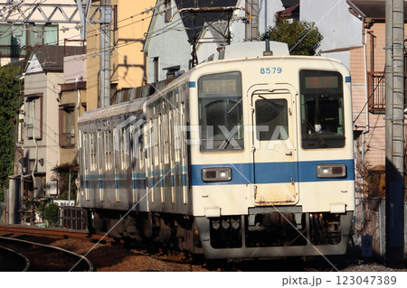 ［TS］東武亀戸線8000系電車（ワンマン運転：曳舟⇔亀戸） 123047389