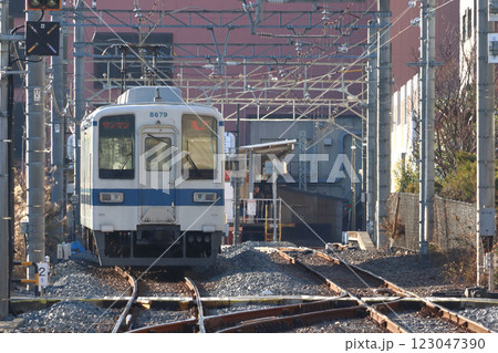 ［TS］東武亀戸線8000系電車（ワンマン運転：曳舟⇔亀戸） 123047390