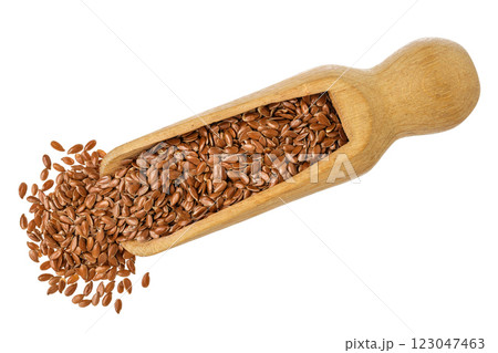 flaxseed in wooden scoop isolated on white background. Top view. Flat lay 123047463