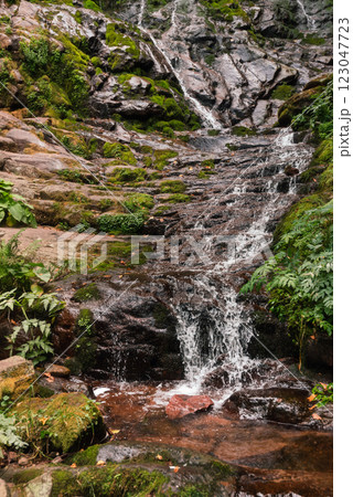 Pilj Cascade Waterfall in Mountain Forest 123047723