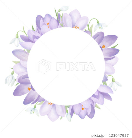 Snowdrops and crocuses round frame isolated on white. Purple and white spring flowers with green leaves. Hand drawn composition in watercolor style with space for text for wedding invitations and gree 123047937