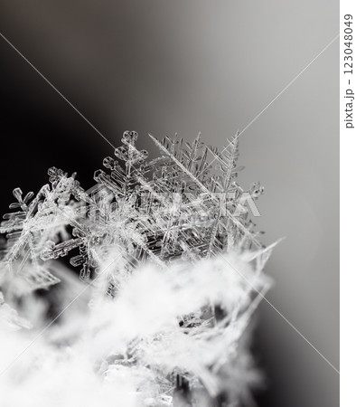 natural snowflakes on snow, winter 123048049