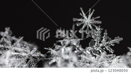 natural snowflakes on snow, winter 123048050