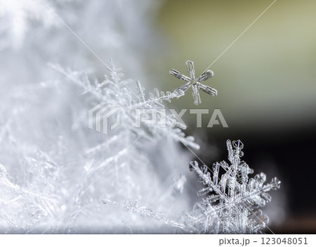 natural snowflakes on snow, winter 123048051