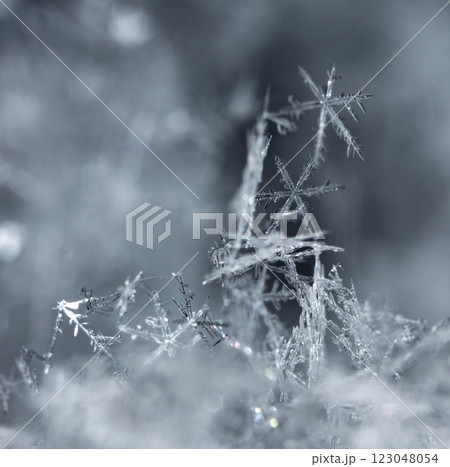 natural snowflakes on snow, winter 123048054