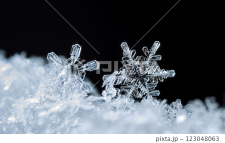 natural snowflakes on snow, winter 123048063