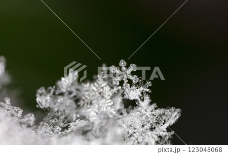 natural snowflakes on snow, winter 123048068