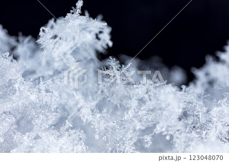 natural snowflakes on snow, winter 123048070