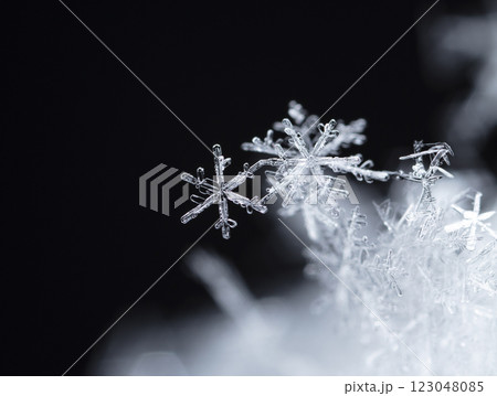 natural snowflakes on snow, winter natural snowflakes on snow, winter 123048085