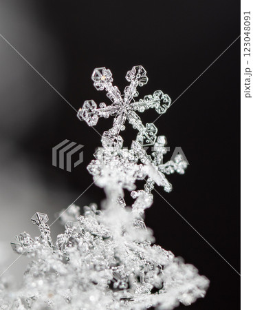 natural snowflakes on snow, winter 123048091