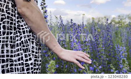 Female hand tenderly touching purple flowers at field. Woman moving her arm above blooming plants. Young girl strolling through floral meadow. Beautiful nature background. Close up 123048280