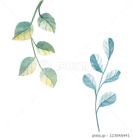 Leaves green blue watercolor seamless pattern illustration isolated white background. Hand drawn floral botanical painting. Congratulations, wedding, greeting, invitation card, print, decoration 123048441