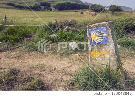 Road sign totem with yellow shell, that guides pilgrims along the Camino de Santiago, Galicia, Spain 123048849
