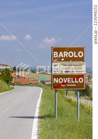 Typical vineyard near Barolo, Barolo wine region, province of Cuneo, region of Piedmont, Italy 123049252