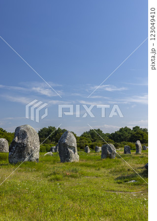 Standing stones (or menhirs) in Carnac, Morbihan, Brittany, France 123049410