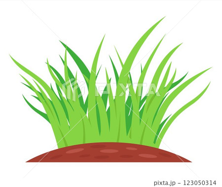 small bush of green grass growing from the ground. small bush of green grass growing from the ground. 123050314