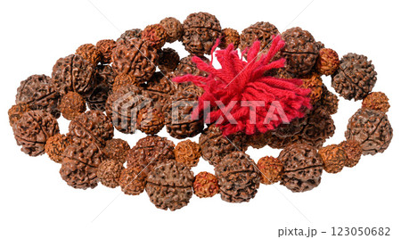 Rudraksha beads, a traditional accessory for meditation and spiritual practices made of natural seeds strung on a thread 123050682