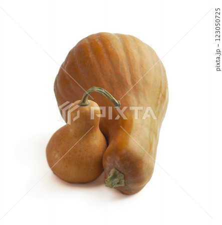 Ripe pumpkins isolated on white. Vegetarianism. Organic orange pumpkins and slices. Vitamins. Autumn. Healthy food. Ripe pumpkins isolated on white. Vegetarianism. Organic orange pumpkins and slices. Vitamins. Autumn. Healthy food. 123050725