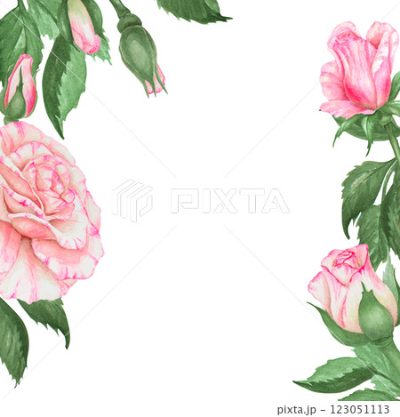 Charming hand painted watercolor floral border with pink roses and green leaves, cut out and isolated. Space for text makes it great for invitations, Mother s Day cards, and spring-inspired designs Charming hand painted watercolor floral border with pink roses and green leaves, cut out and isolated. Space for text makes it great for invitations, Mother s Day cards, and spring-inspired designs 123051113
