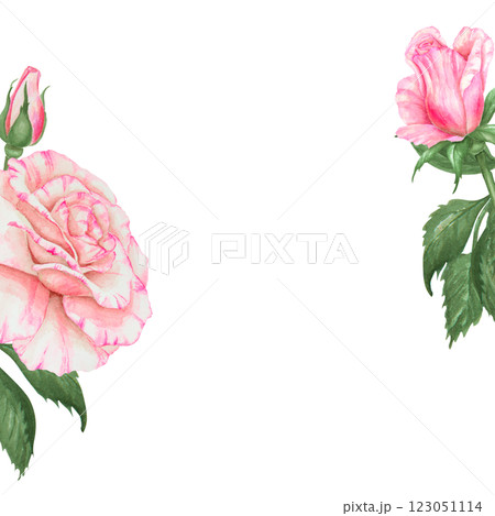Delicate floral arrangement with pink roses and green leaves, cut out and isolated. Includes space for text, ideal for wedding stationery, invitations, Valentine s cards and creative branding projects Delicate floral arrangement with pink roses and green leaves, cut out and isolated. Includes space for text, ideal for wedding stationery, invitations, Valentine s cards and creative branding projects 123051114