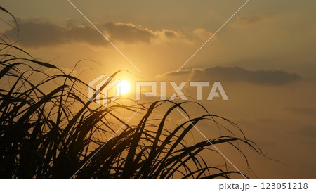 晴れた日の朝焼け 123051218