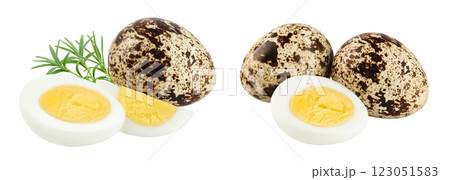 boiled quail egg isolated on white background with full depth of field boiled quail egg isolated on white background with full depth of field 123051583