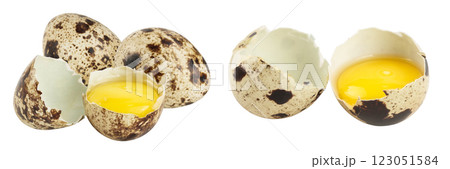 Raw quail egg isolated on white background with full depth of field 123051584