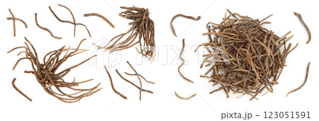 Dried Valerian root isolated on white background. Valeriana officinalis with full depth of field. Top view. Flat lay 123051591