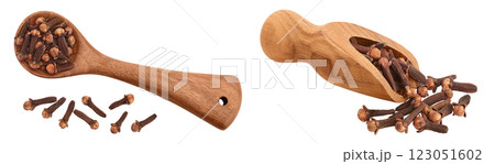 Dry spice cloves in wooden spoon and scoop isolated on white background . Top view. Flat lay 123051602