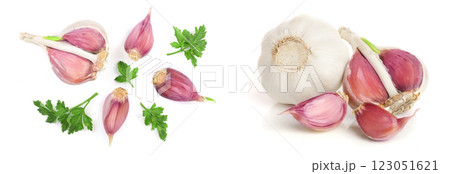 garlic with parsley leaves isolated on white background. Top view. Flat lay pattern 123051621