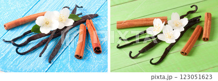 Vanilla sticks and cinnamon with flower and leaf on a blue wooden background 123051623