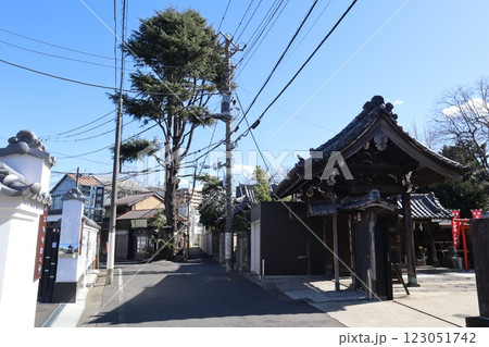 ヒマラヤ杉が見守る谷中・寺町の街並み 123051742