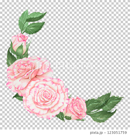 Watercolor illustration of a pink rose floral arrangement in a crescent shape with green leaves. Ideal for wedding decor, elegant floral designs, romantic compositions and botanical projects. Watercolor illustration of a pink rose floral arrangement in a crescent shape with green leaves. Ideal for wedding decor, elegant floral designs, romantic compositions and botanical projects. 123051759