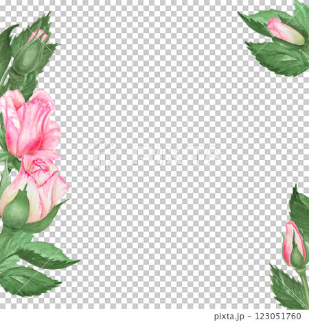Hand-painted watercolor pink rose floral frame with green leaves on a transparent background. Perfect for wedding invitations, romantic designs, botanical themes and elegant stationery 123051760