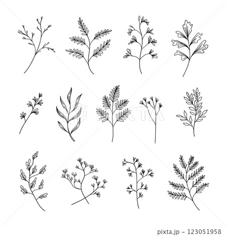 A refined collection of hand-drawn botanical elements, including leaves and small branches. Ideal for branding, packaging, wedding invitations, and elegant compositions. A refined collection of hand-drawn botanical elements, including leaves and small branches. Ideal for branding, packaging, wedding invitations, and elegant compositions. 123051958