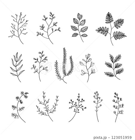 A collection of minimalist botanical line drawings featuring delicate leaves and floral elements. Perfect for logos, branding, and wedding invitations. A collection of minimalist botanical line drawings featuring delicate leaves and floral elements. Perfect for logos, branding, and wedding invitations. 123051959