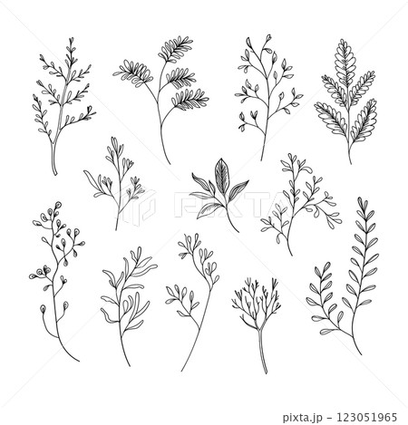 A collection of fine line botanical sketches featuring different plant species. Perfect for minimalist designs, patterns, and nature-inspired projects. A collection of fine line botanical sketches featuring different plant species. Perfect for minimalist designs, patterns, and nature-inspired projects. 123051965