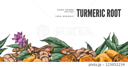 Turmeric plant flower and root, powder sketch seamless border vector design, hand drawn Curcuma spice, ginger condiment 123052234