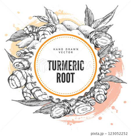 Turmeric plant flower and root, dry powder heap engraved sketch round vector design, hand drawn Curcuma spicy spice Turmeric plant flower and root, dry powder heap engraved sketch round vector design, hand drawn Curcuma spicy spice 123052252