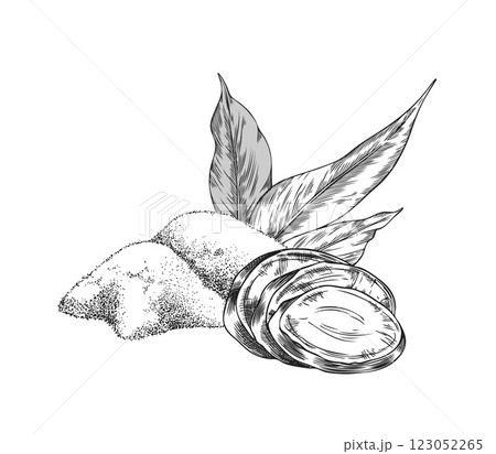 Turmeric leaves, root slices and dry powder heap engraved sketch, vector hand drawn Curcuma spicy spice ginger condiment Turmeric leaves, root slices and dry powder heap engraved sketch, vector hand drawn Curcuma spicy spice ginger condiment 123052265