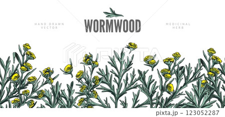Wormwood plant sketch seamless border vector design, hand drawn Artemisia flowers and leaves, medical essential herb 123052287