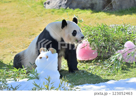 バレンタイイベントを楽しむ楓浜 123052463