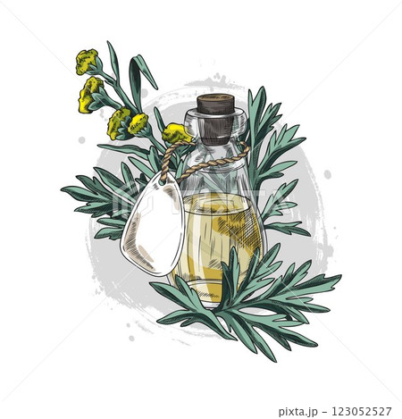 Wormwood plant and bottle of essential oil sketch, hand drawn sagebrush flowers leaves, medical Artemisia herbal product Wormwood plant and bottle of essential oil sketch, hand drawn sagebrush flowers leaves, medical Artemisia herbal product 123052527