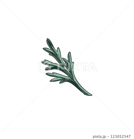 Wormwood leaf sketch, hand drawn wild sagebrush essential herb, Artemisia medicinal plant vector botanical illustration Wormwood leaf sketch, hand drawn wild sagebrush essential herb, Artemisia medicinal plant vector botanical illustration 123052547