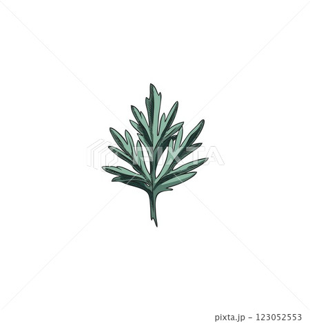 Wormwood leaf sketch, hand drawn sagebrush essential herb, wild flower herbarium, Artemisia medical plant vector icon Wormwood leaf sketch, hand drawn sagebrush essential herb, wild flower herbarium, Artemisia medical plant vector icon 123052553