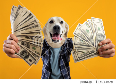 A cheerful golden retriever appears to be celebrating while holding significant amounts of cash in both paws. The bright yellow backdrop enhances the joyful atmosphere 123053626