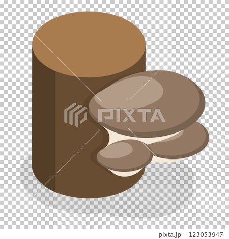 3D Isometric Flat  Set of Mushrooms. Item 1 123053947