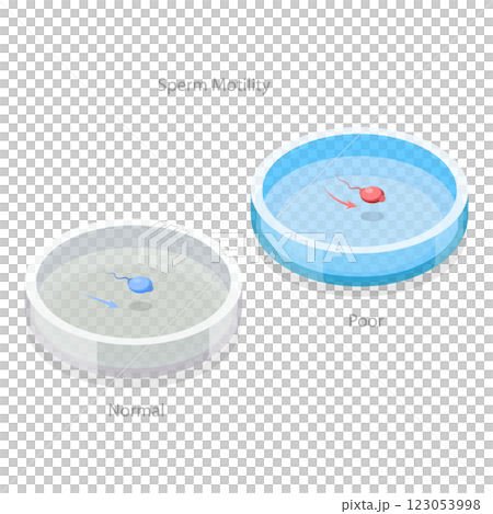 3D Isometric Flat  Illustration of Male Fertility. Item 2 123053998