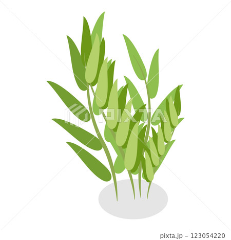 3D Isometric Flat  Set of Plants In Pots. Item 10 123054220
