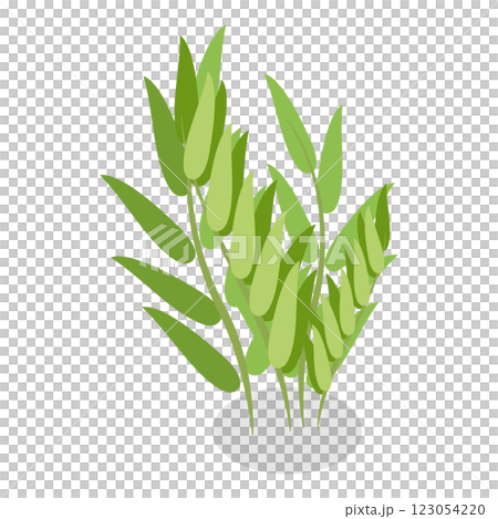 3D Isometric Flat  Set of Plants In Pots. Item 10 123054220